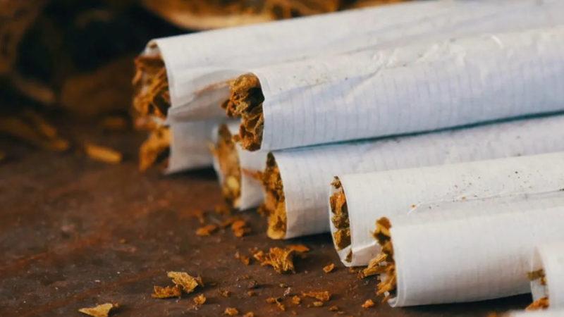 Sağlık Bakanı, 15 Yaş ve Üzeri Kişilerin Tütün Kullanım Oranını Açıkladı