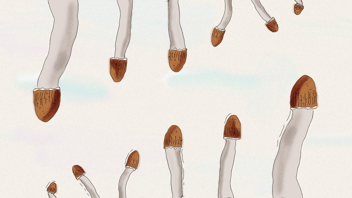 Bilime Göre Sağlıklı Cinsel Yaşam ve Üreme İçin ’İdeal Penis Boyu’ Ne Kadar Olmalı?