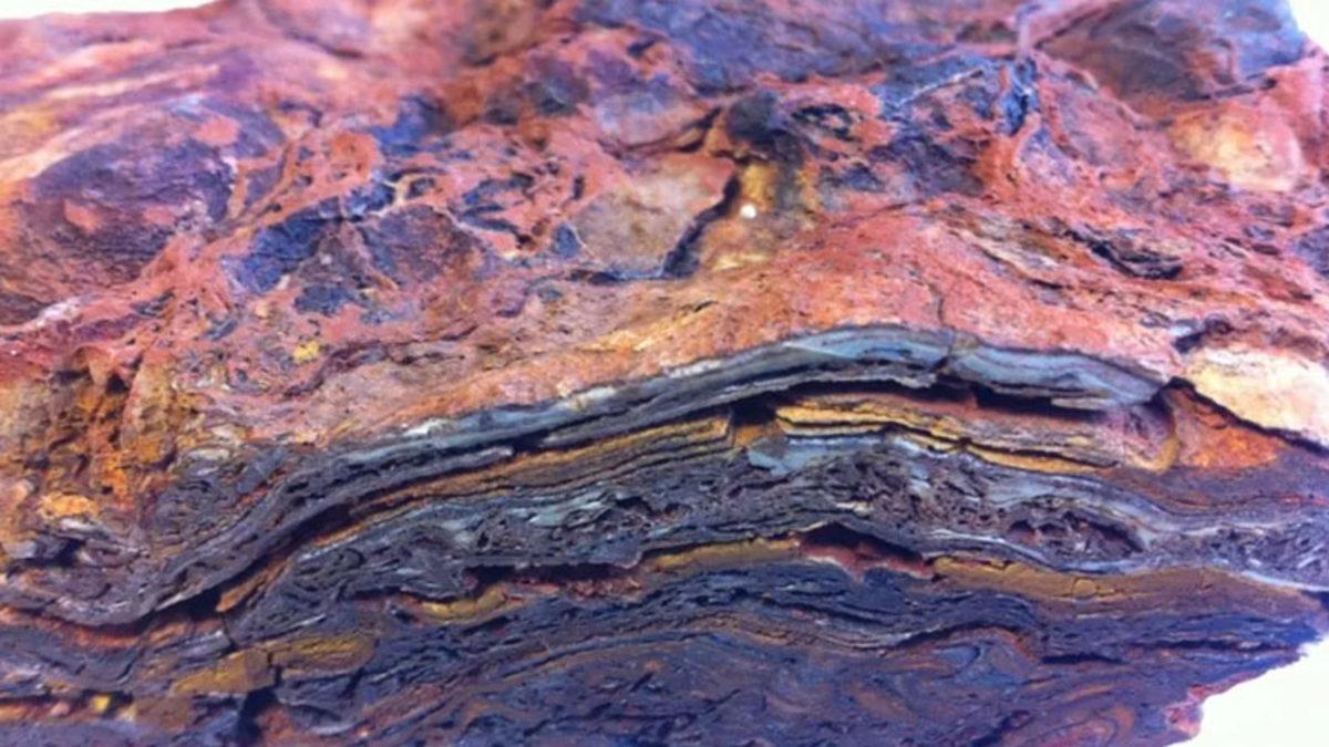 Dünya’da Yaşamın İlk İzlerinden Olduğu Düşünülen 3.48 Milyar Yaşında Fosil Bulundu: Mars’ta Yaşam Araştırmalarına da Işık Tutacak