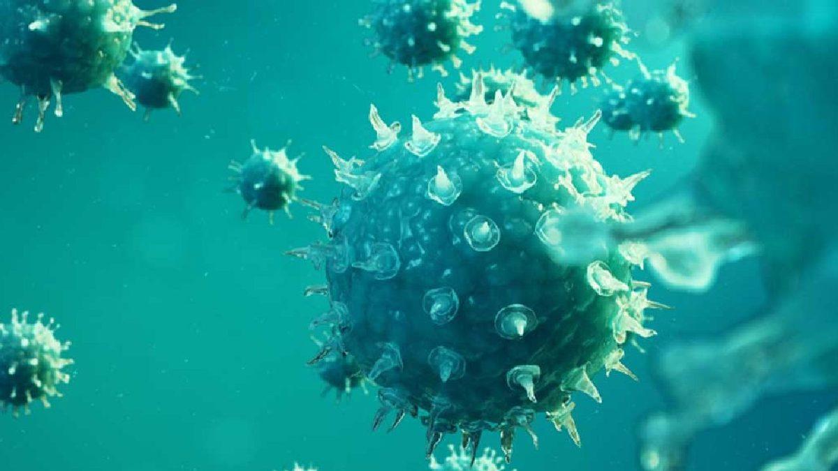 Dünya’nın Büyük Kısmını Kaplayan Okyanuslar Hakkında Tüyler Ürperten 11 Gerçek