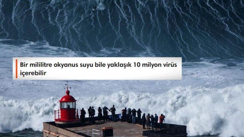 Dünya’nın Büyük Kısmını Kaplayan Okyanuslar Hakkında Tüyler Ürperten 11 Gerçek