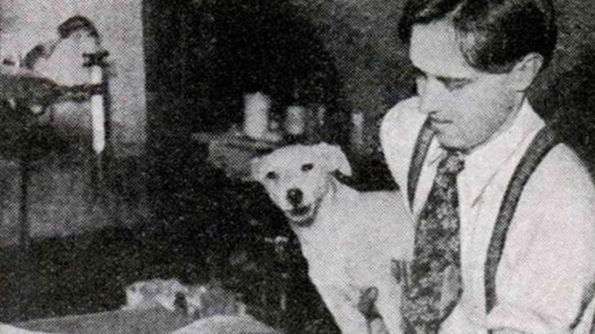 Bilim Dünyası, Ölü Bir İnsanı Hayata Döndürmeye Ne Kadar Yaklaştı?