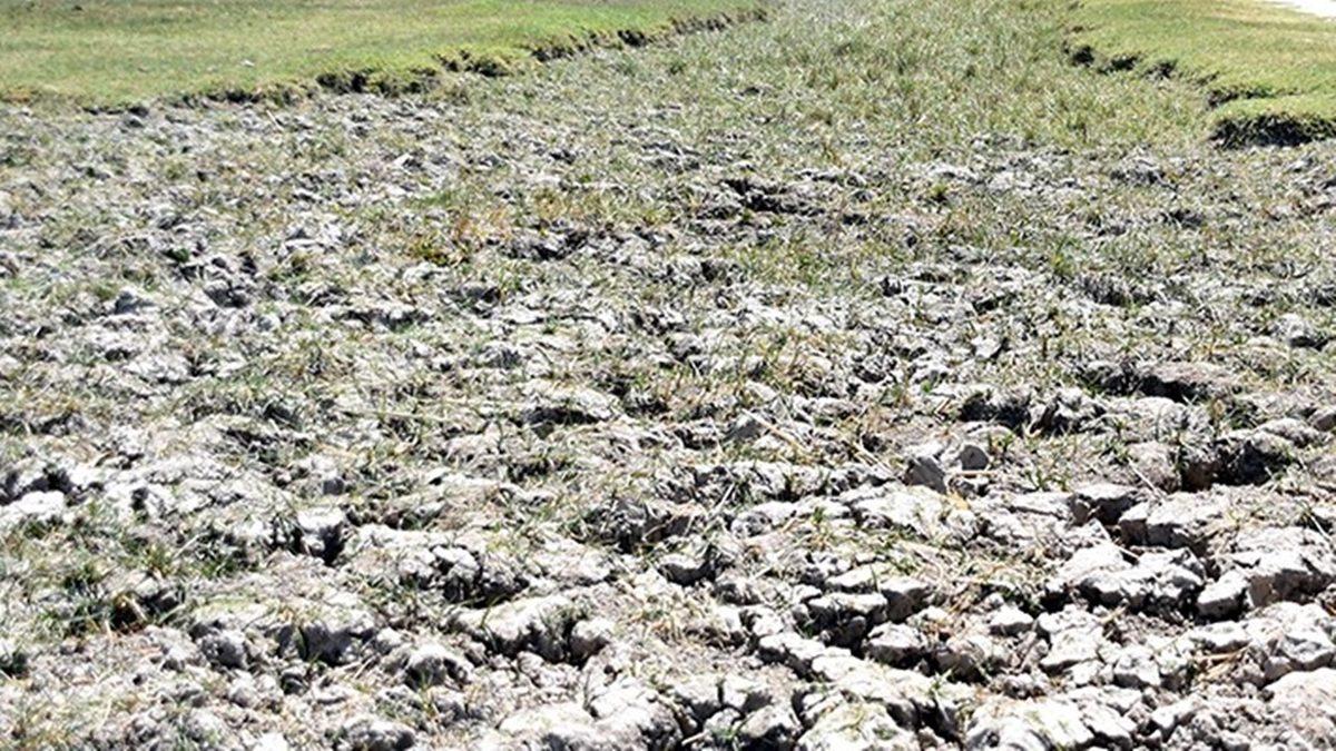 Bu Grafiğe İyi Bakın: Bilim İnsanlarının ’En Kritik ve Gizli Afet’ Dediği Ölümcül Tehlike Aramızda