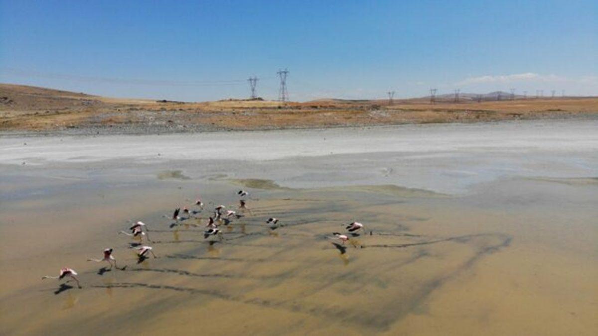 Bu Grafiğe İyi Bakın: Bilim İnsanlarının ’En Kritik ve Gizli Afet’ Dediği Ölümcül Tehlike Aramızda