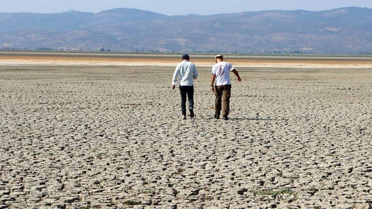 Bu Grafiğe İyi Bakın: Bilim İnsanlarının ’En Kritik ve Gizli Afet’ Dediği Ölümcül Tehlike Aramızda
