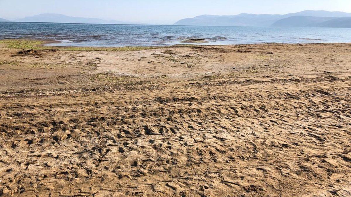 Bu Grafiğe İyi Bakın: Bilim İnsanlarının ’En Kritik ve Gizli Afet’ Dediği Ölümcül Tehlike Aramızda