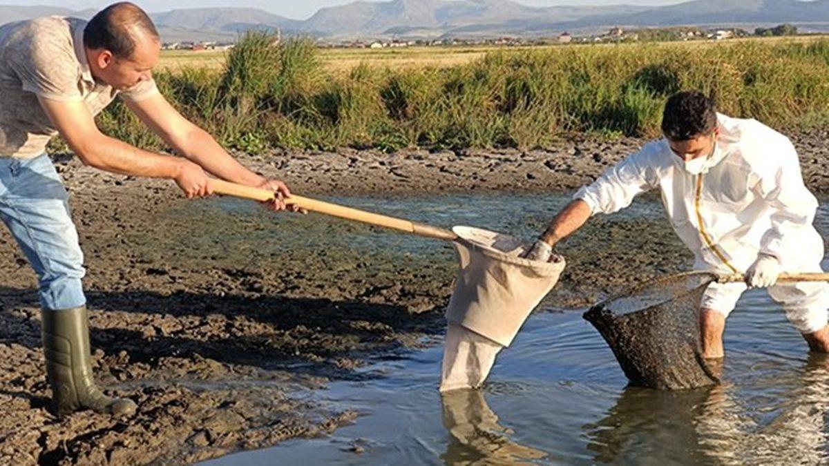 Bu Grafiğe İyi Bakın: Bilim İnsanlarının ’En Kritik ve Gizli Afet’ Dediği Ölümcül Tehlike Aramızda