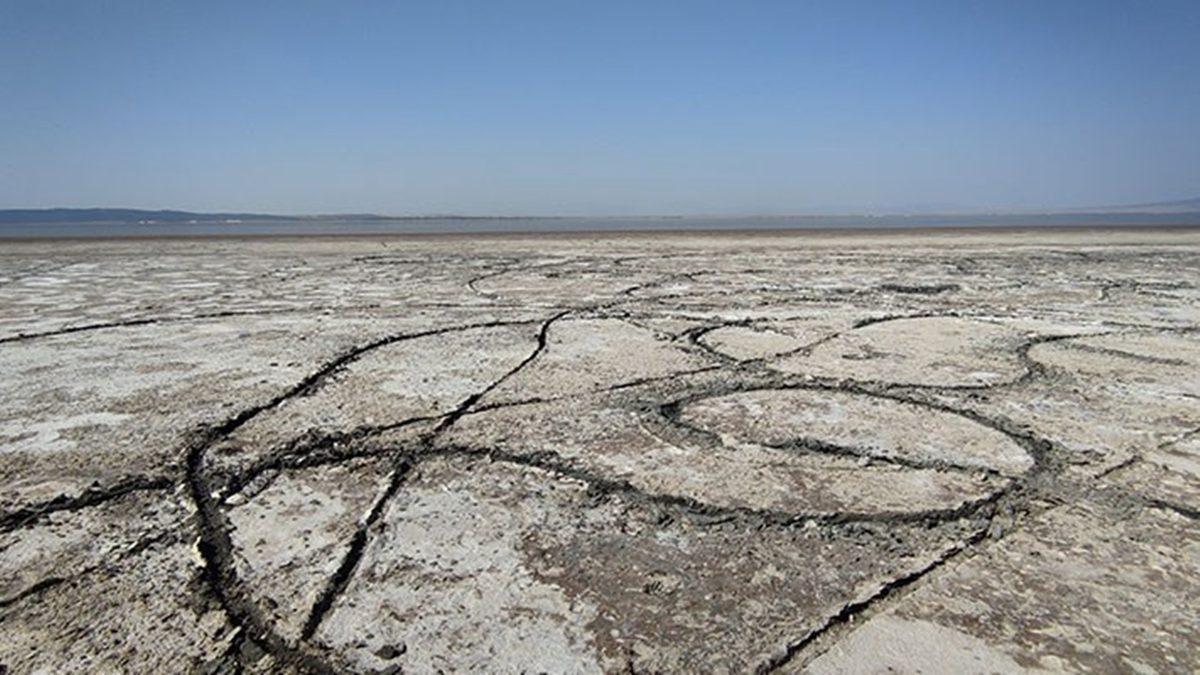 Bu Grafiğe İyi Bakın: Bilim İnsanlarının ’En Kritik ve Gizli Afet’ Dediği Ölümcül Tehlike Aramızda