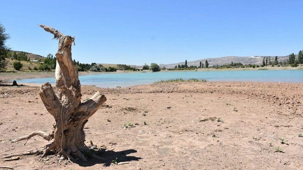 Bu Grafiğe İyi Bakın: Bilim İnsanlarının ’En Kritik ve Gizli Afet’ Dediği Ölümcül Tehlike Aramızda
