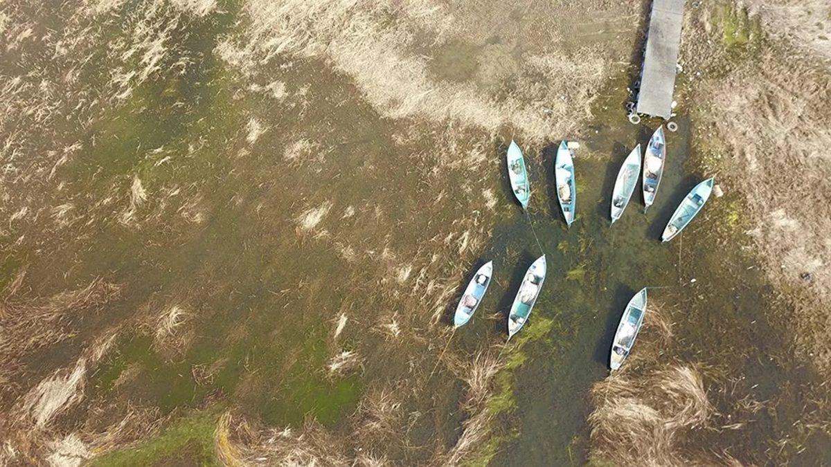 Bu Grafiğe İyi Bakın: Bilim İnsanlarının ’En Kritik ve Gizli Afet’ Dediği Ölümcül Tehlike Aramızda