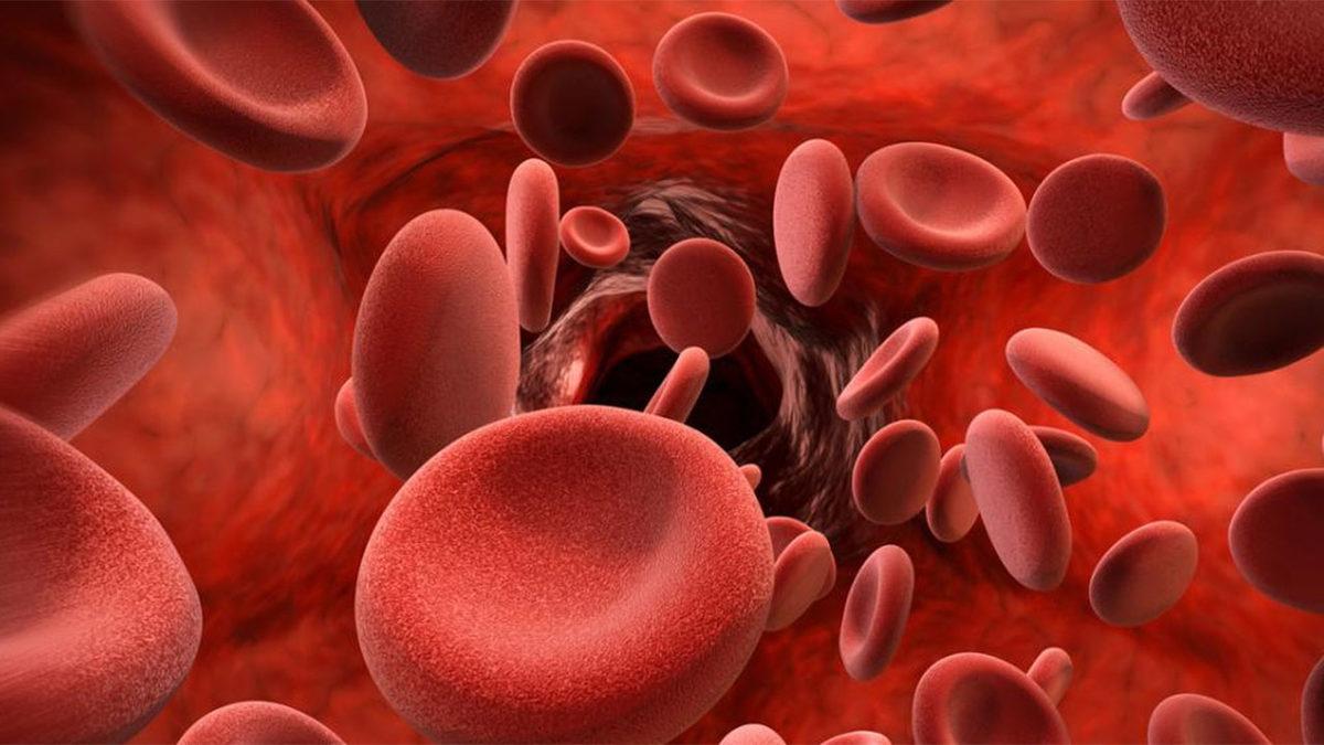 Ege Üniversitesi Tıp Fakültesi, Türkiye’de Bir İlke İmza Attı: 8 Hastaya Gen Tedavisi Uygulandı