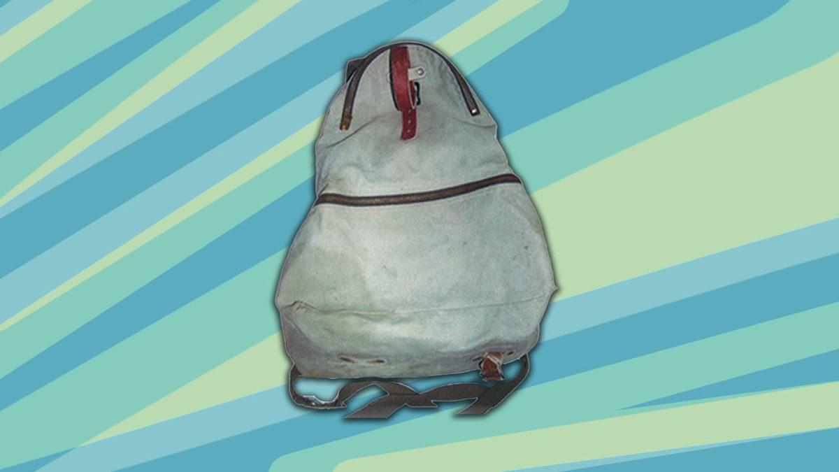 Pek Çok Sırt Çantasında Bulunan ve Prize Benzeyen Bu Tasarımlar Ne İşe Yarıyor?