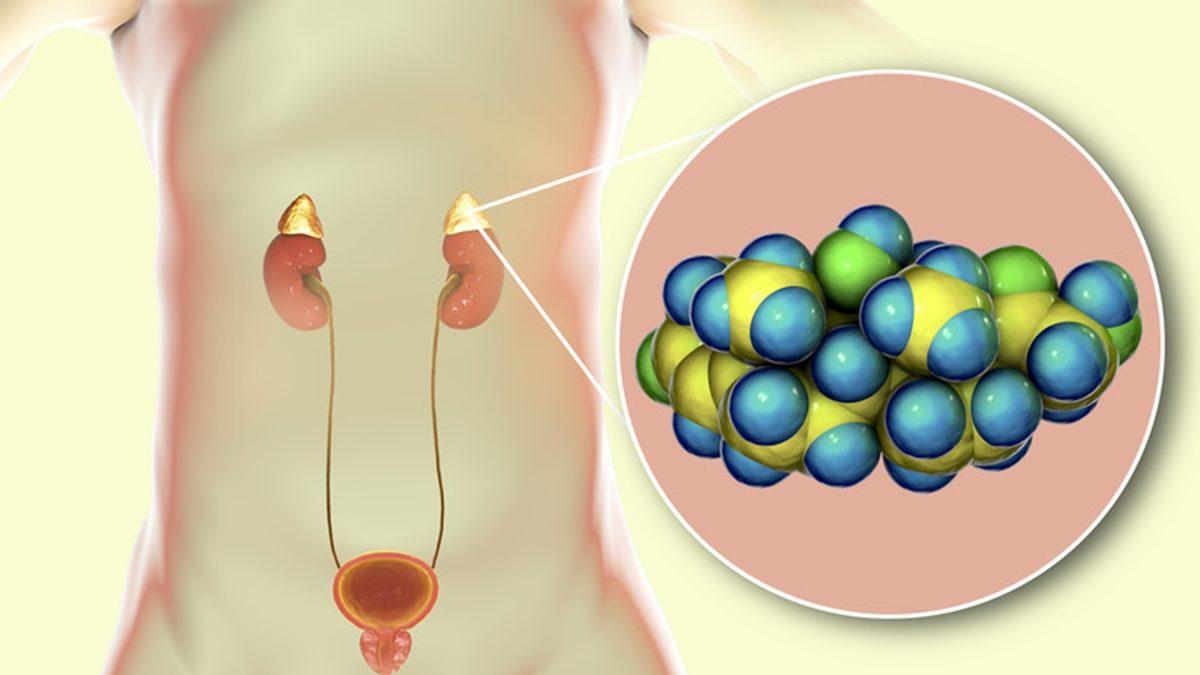 Sıcaklarda Neredeyse Sarılıp Uyumak İstediğimiz Klimalar Bizi Neden Çarpar?