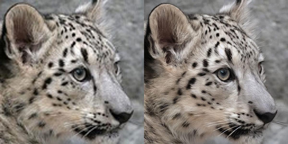 Metinden Görsel Oluşturan Yapay Zekâ, Artık Çok Daha Fazlasını Yapabiliyor: Var Olan Görsel de Metin Eklenerek Değiştirilebilecek!