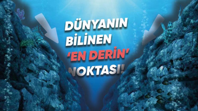 ’Mariana Çukuru’ Hakkında 10 Enteresan Gerçek: En Dibine İnsek Nelerle Karşılaşırdık?