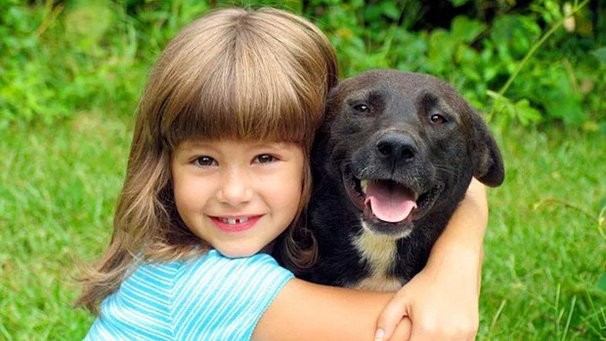 Sokakta Yaşayan Hayvanların Toplatılıp Barınaklara Götürülmesi Çözüm mü? Aslında Neler Yapılmalı?