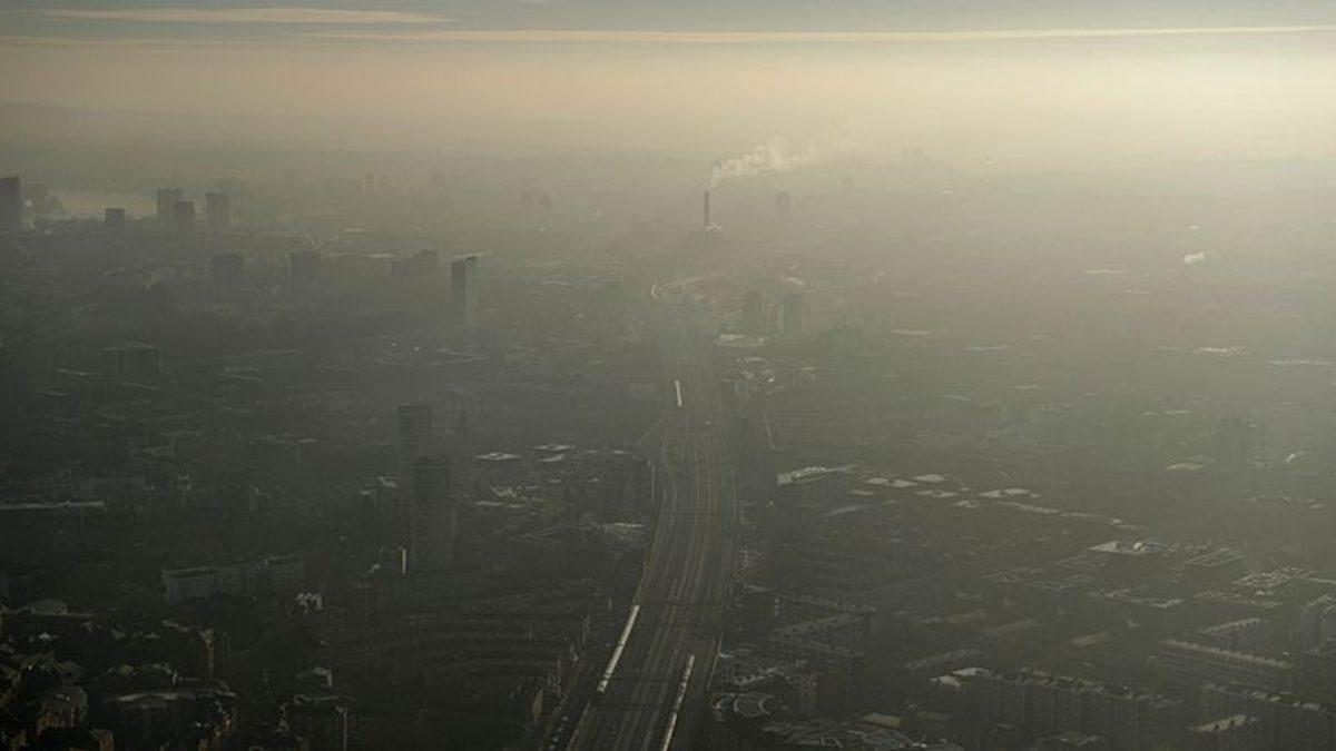 Türkiye’de IQ Seviyesi Neden Bu Kadar Düşük?