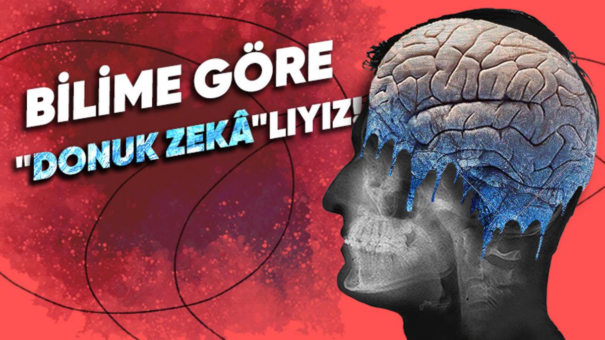 Türkiye’de IQ Seviyesi Neden Bu Kadar Düşük?