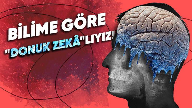 Türkiye’de IQ Seviyesi Neden Bu Kadar Düşük?