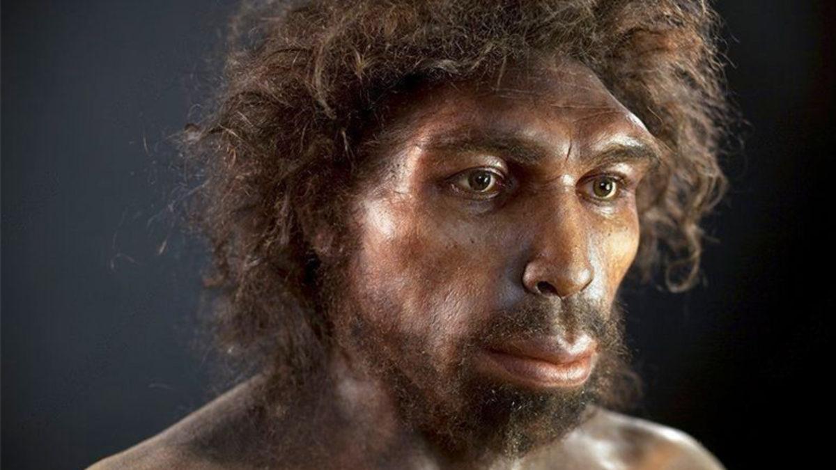 İnsanlığın Daha Önce Bilinmeyen ‘Hayalet’ Bir Atası Keşfedildi