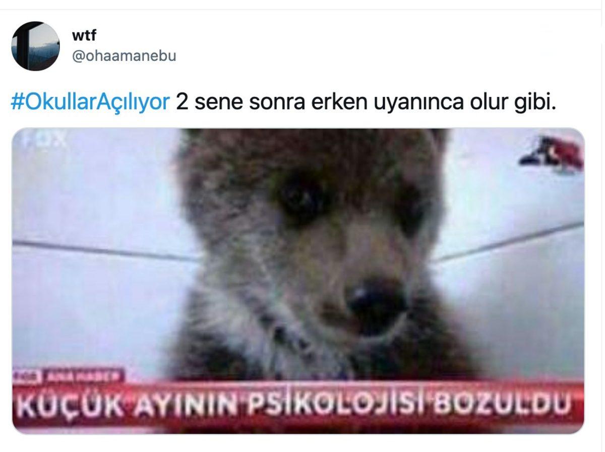 Okullara Geri Dönen Sosyal Medya Kullanıcılarının Komik Paylaşımları