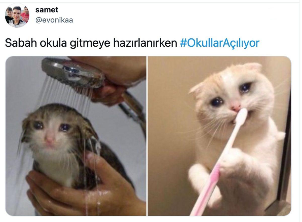 Okullara Geri Dönen Sosyal Medya Kullanıcılarının Komik Paylaşımları
