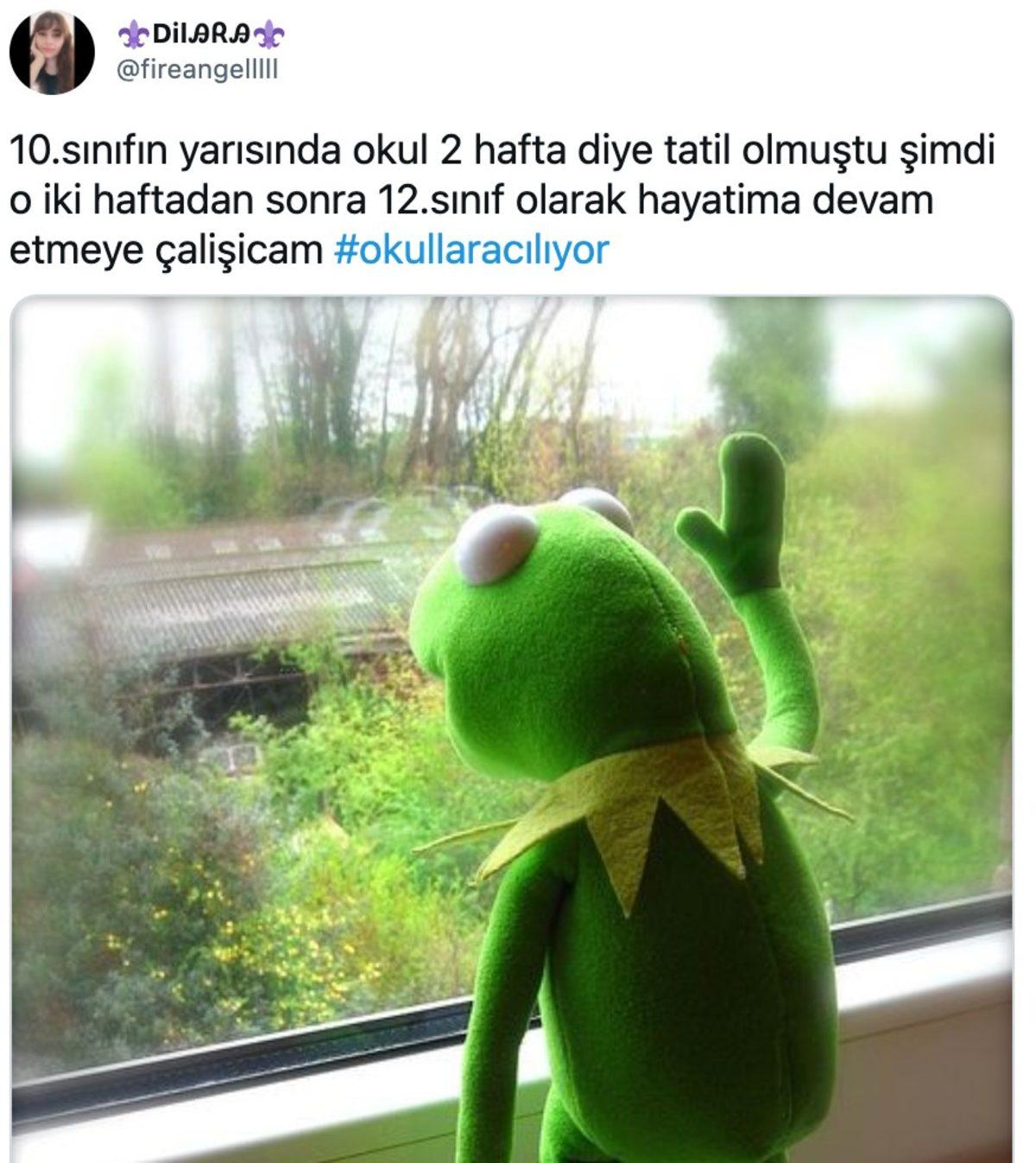 Okullara Geri Dönen Sosyal Medya Kullanıcılarının Komik Paylaşımları