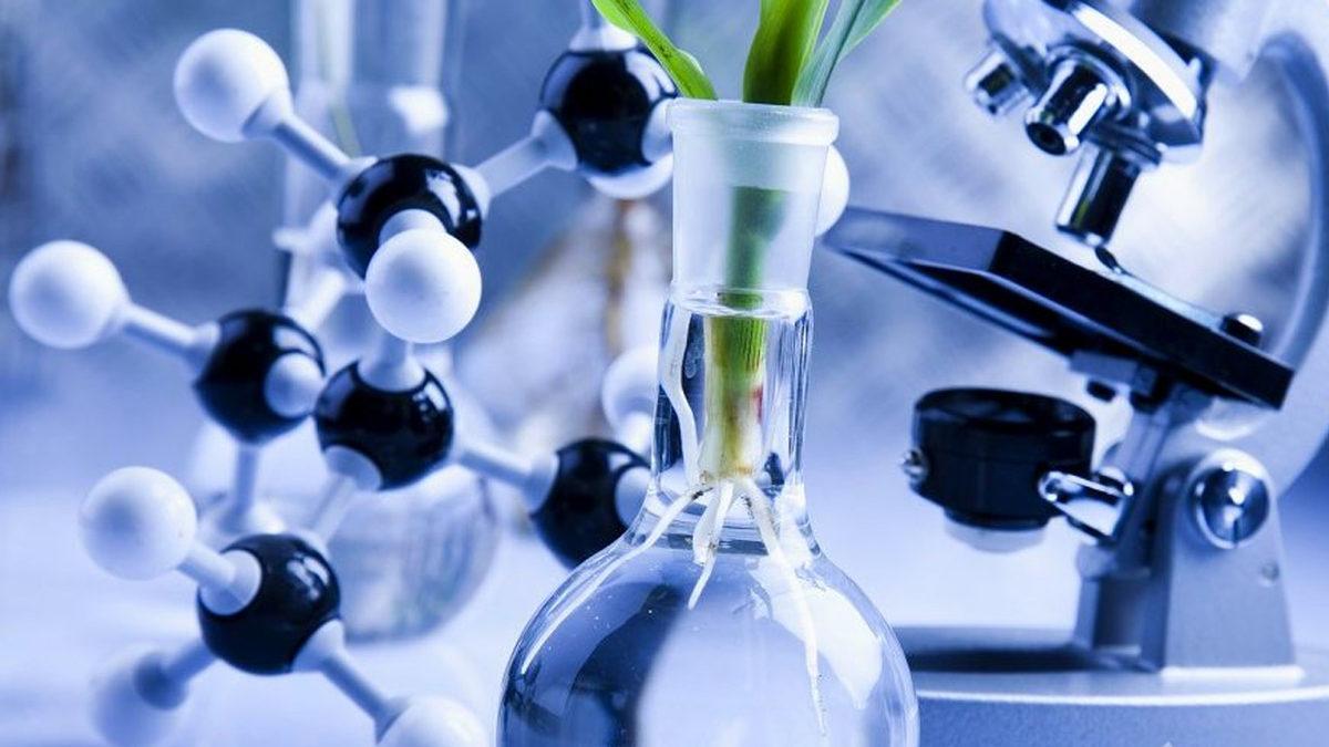 İnsanlığın Yüzde 99’unun Kanına Karıştığı Bilinen Teflondaki Kimyasallar Sağlığa Zararlı mı?