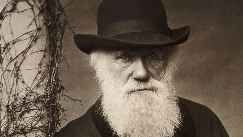 Evrim Kuramının Babası Charles Darwin’in Hayatı Boyunca Yaptığı Tüm Yazışmalar İnternette Yayınlandı (Tam 15 Bin Mektup)