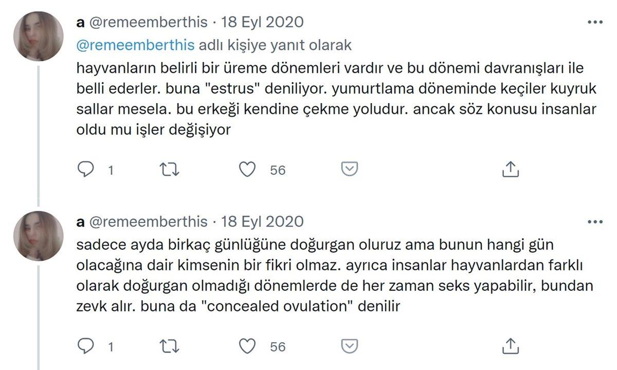 Kullanan İlk Kadınlara Ciddi Zararlar Veren ’Doğum Kontrol Hapları’ Günümüzde Zararlı mı Değil mi?