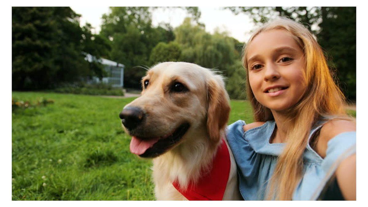 Sevimli Dostlarımız Köpekler, Kameraları Neden Sevmez?