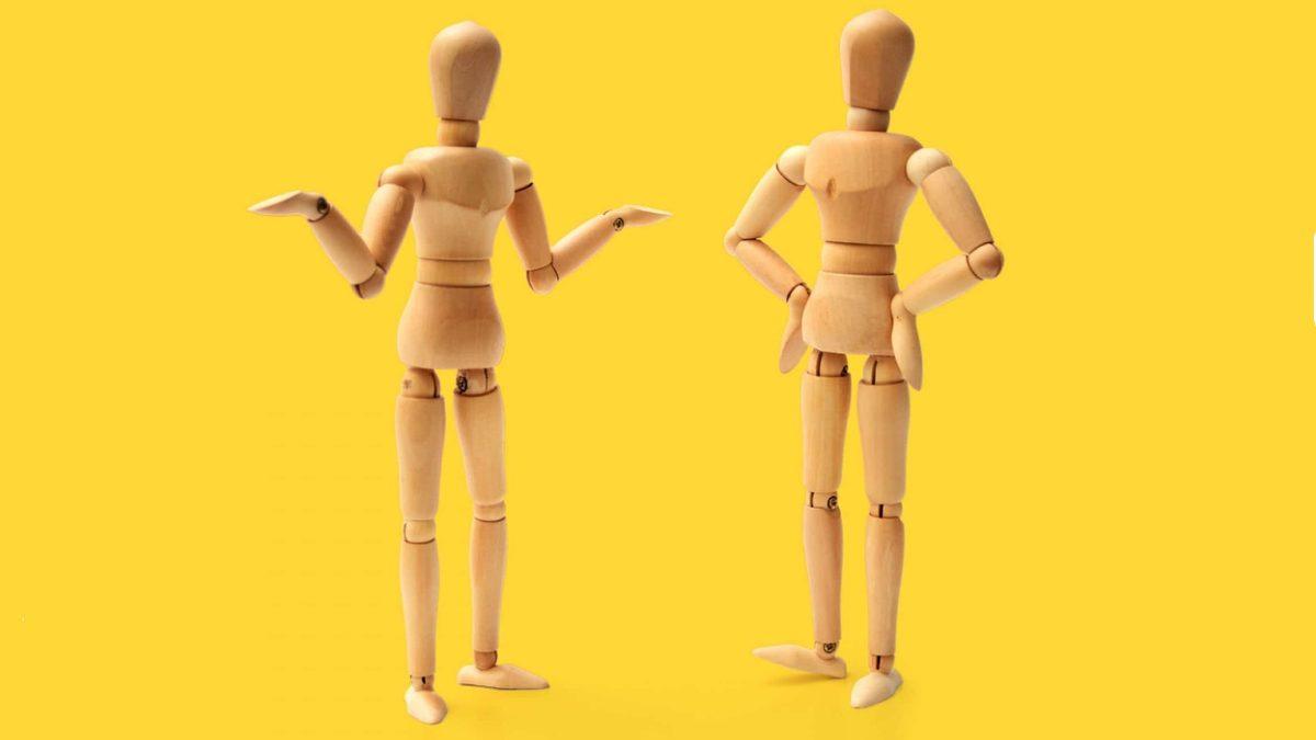 Sevimli Dostlarımız Köpekler, Kameraları Neden Sevmez?