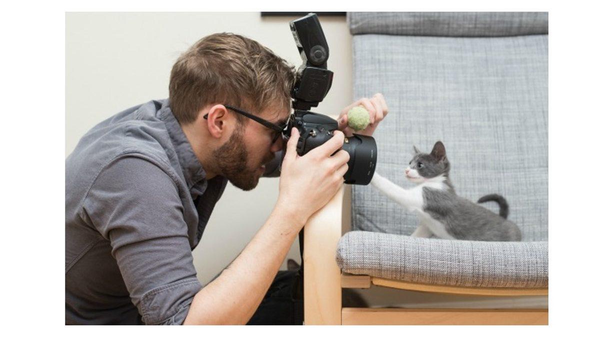 Sevimli Dostlarımız Köpekler, Kameraları Neden Sevmez?