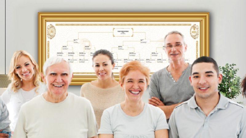 e-Devlet’ten ’Yeni’ Hizmet: Soyağacı Oluşturulabiliyor