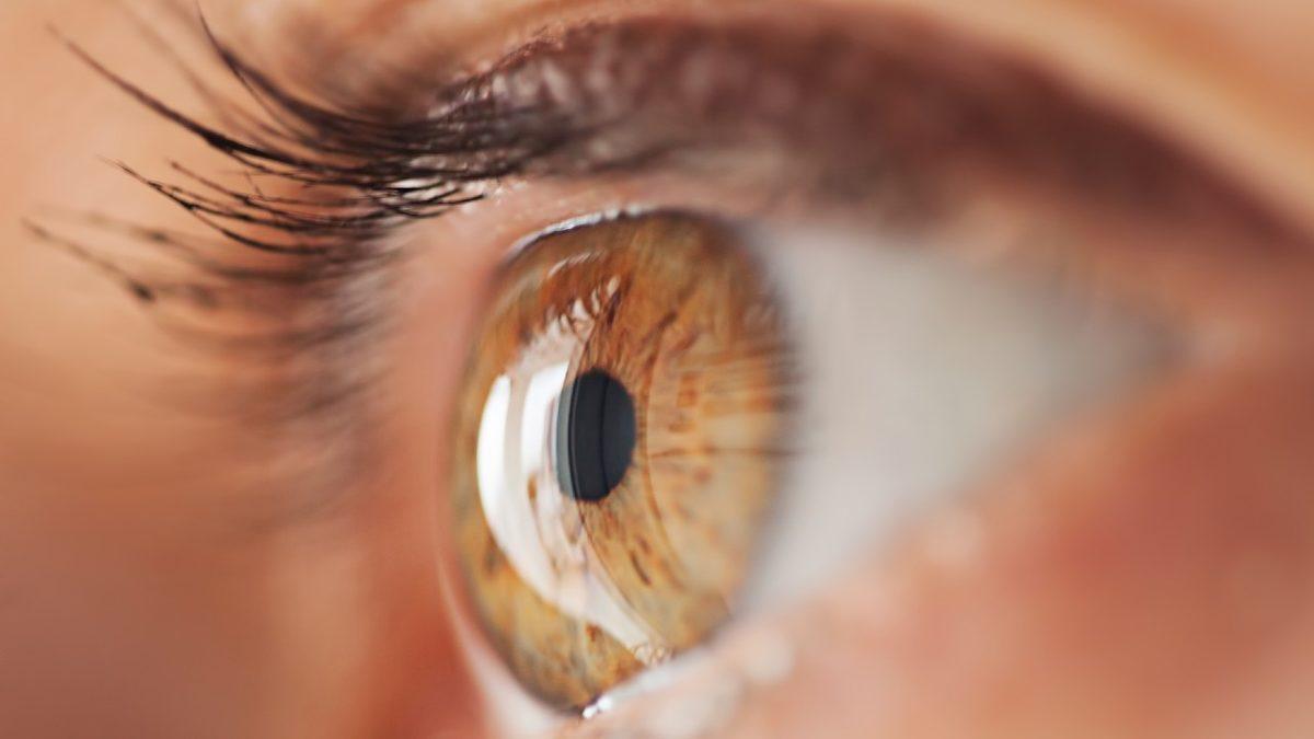 Bilime Göre ’Göz Renkleri’ Hakkında Birbirinden İlginç 7 Gerçek: Binlerce Yıl Önce Tüm İnsanların Gözü Aslında Aynı Renkti!
