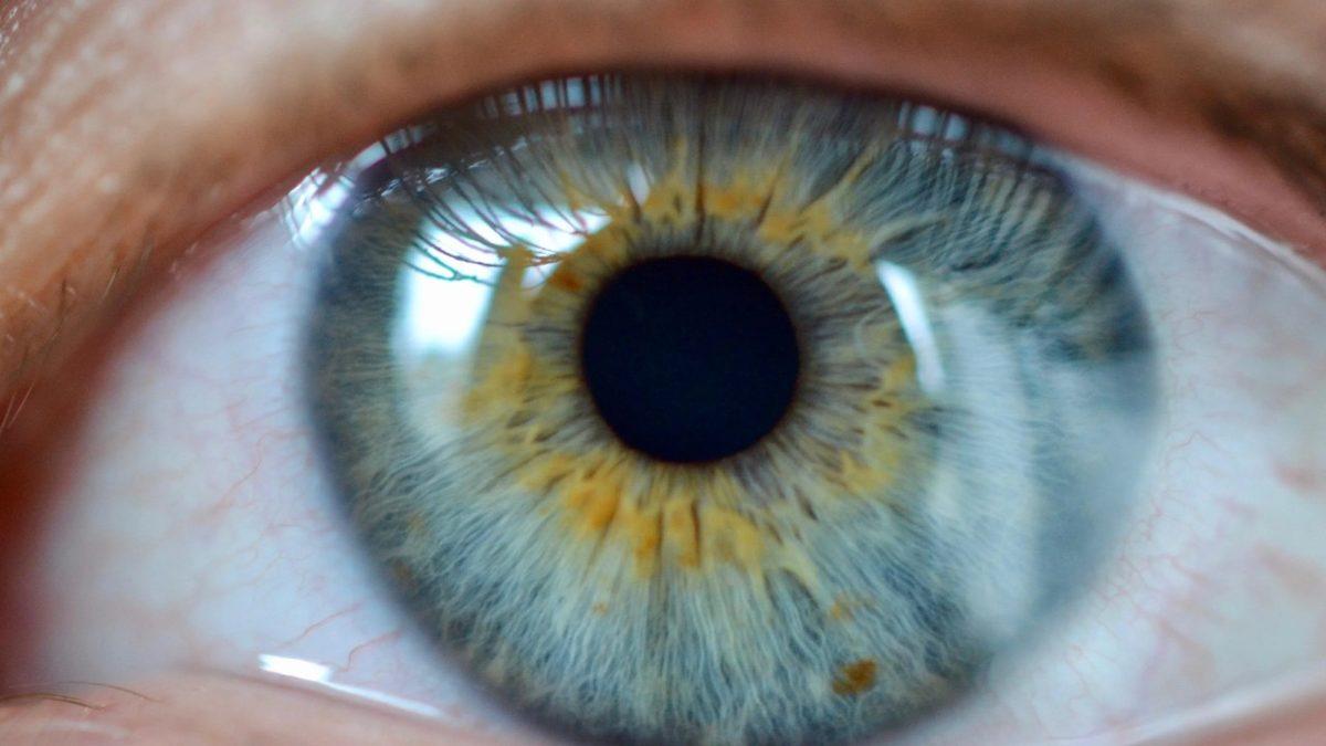 Bilime Göre ’Göz Renkleri’ Hakkında Birbirinden İlginç 7 Gerçek: Binlerce Yıl Önce Tüm İnsanların Gözü Aslında Aynı Renkti!