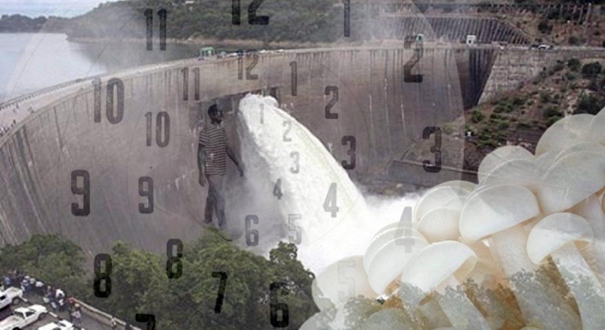 Hani Azıcık Ucundandı? Sünnetin Cinsel Hayata ve Erken Boşalmaya Etkisine Bilim Penceresinden Bakıyoruz