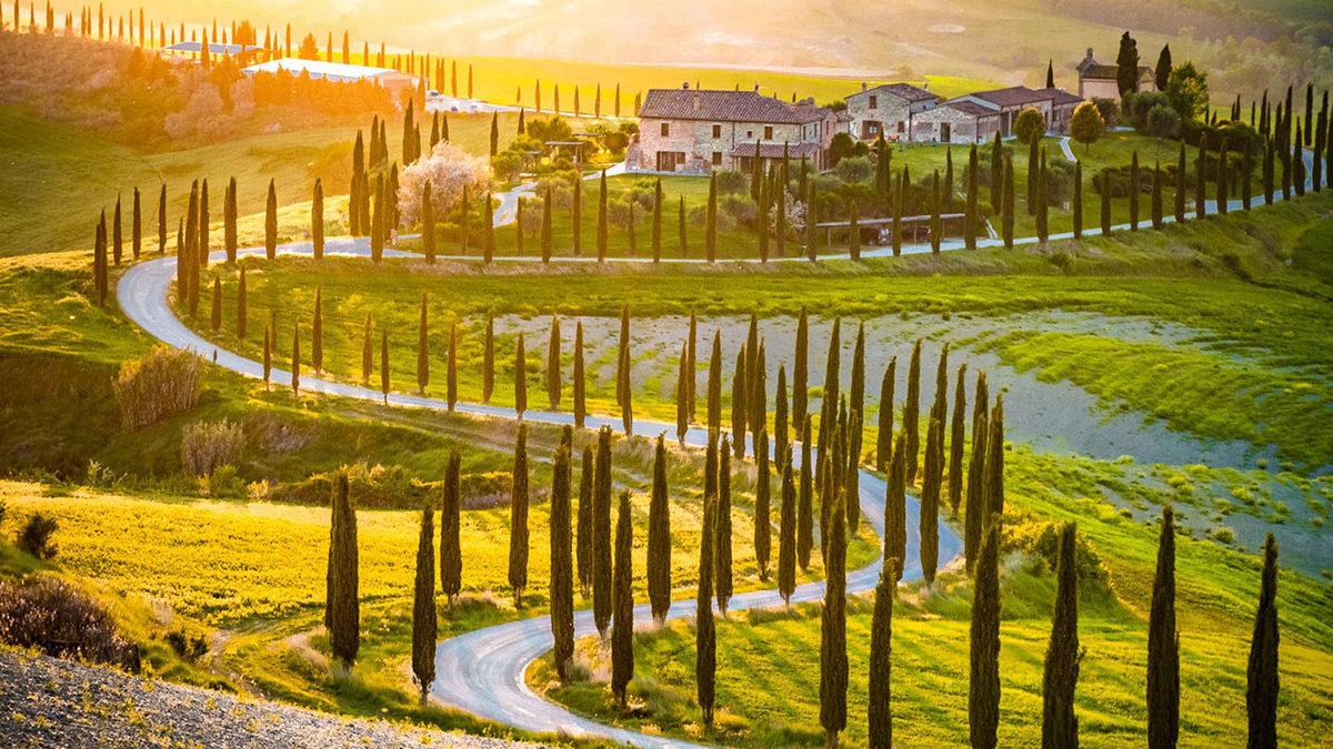 Türklerin Genetik Olarak En Çok Hangi Topluma Benzediği Açıklandı