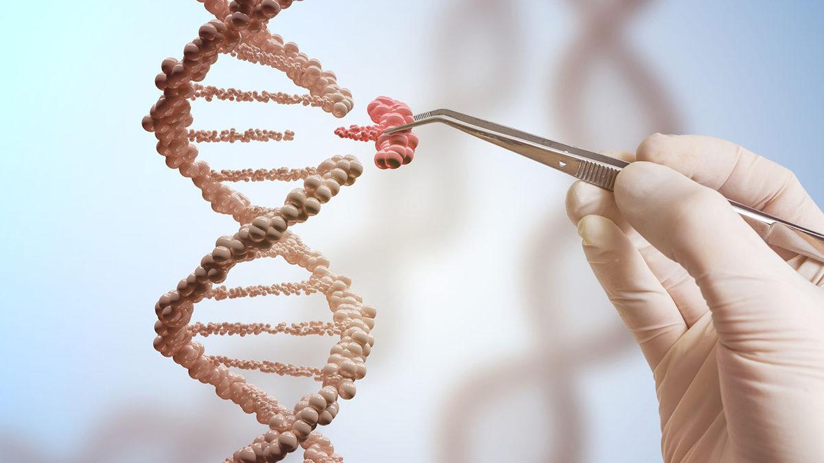 Türklerin Genetik Olarak En Çok Hangi Topluma Benzediği Açıklandı