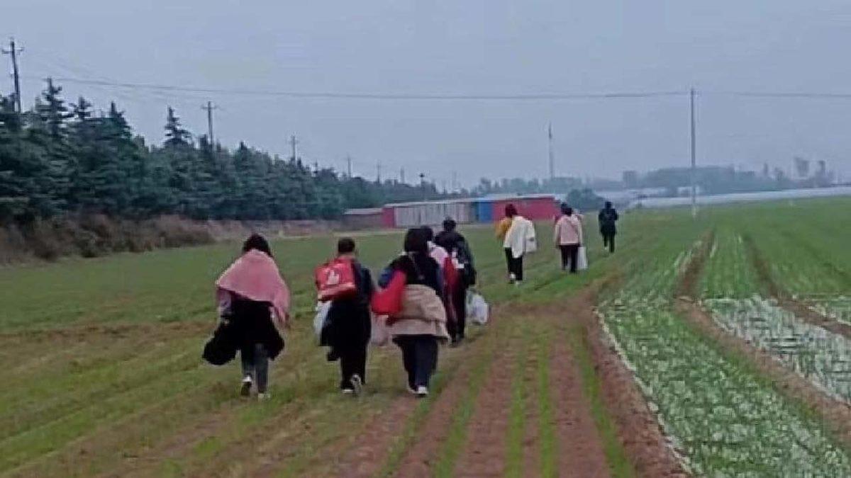 10 Milyon iPhone ’Buhar’ Oldu: Parası Olanlar Bile iPhone 14 Pro Almak İçin Aylarca Beklemek Zorunda Kalabilir