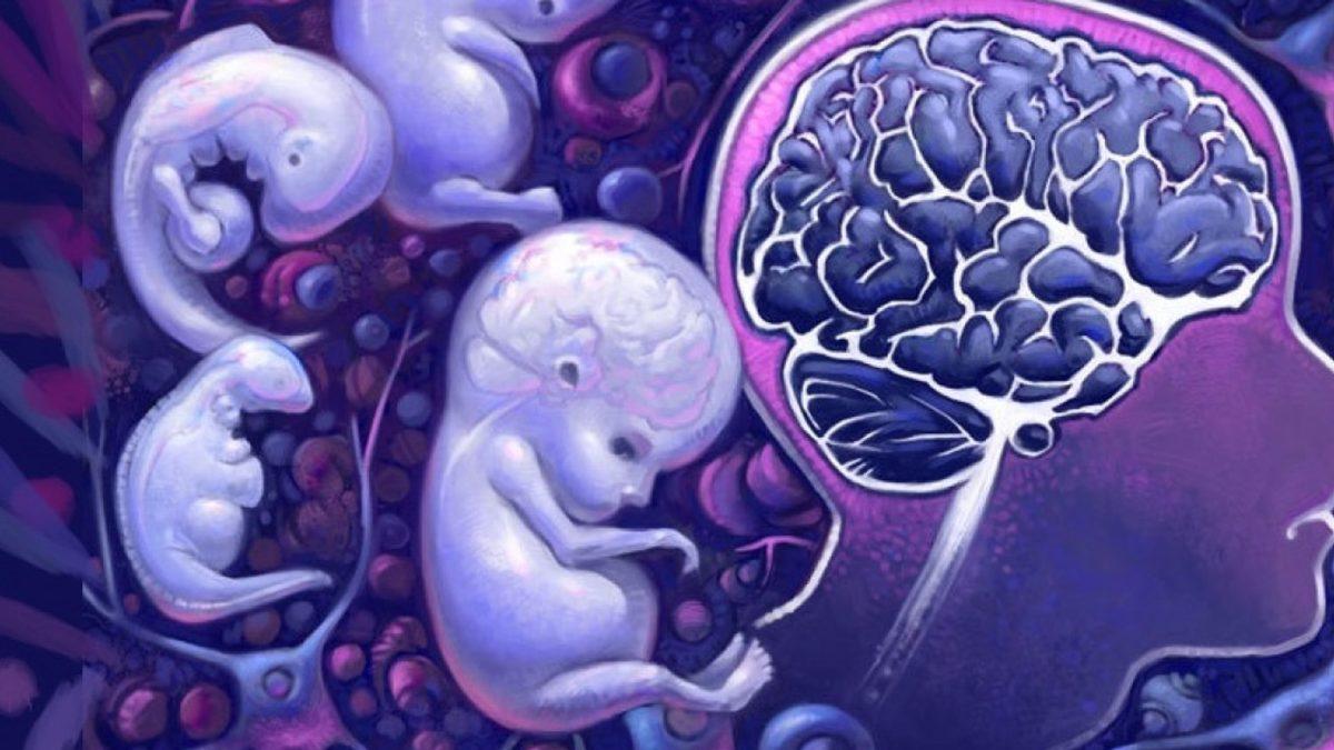 Doğduğumuz Mevsim Gerçekten Kişiliğimizi Etkiliyor: Bilime Göre Hangi Mevsimde Doğanlar Hangi Özelliklere Sahip Oluyor?