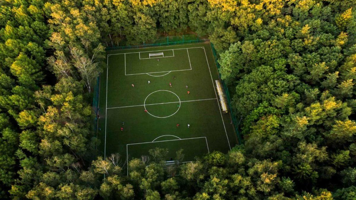 Futbol Sahalarındaki Çimler Neden Bir Açık Bir Koyu Görünecek Şekilde Tasarlanır? İşte Çimlerin Altında Yatan İnanılmaz Bilim