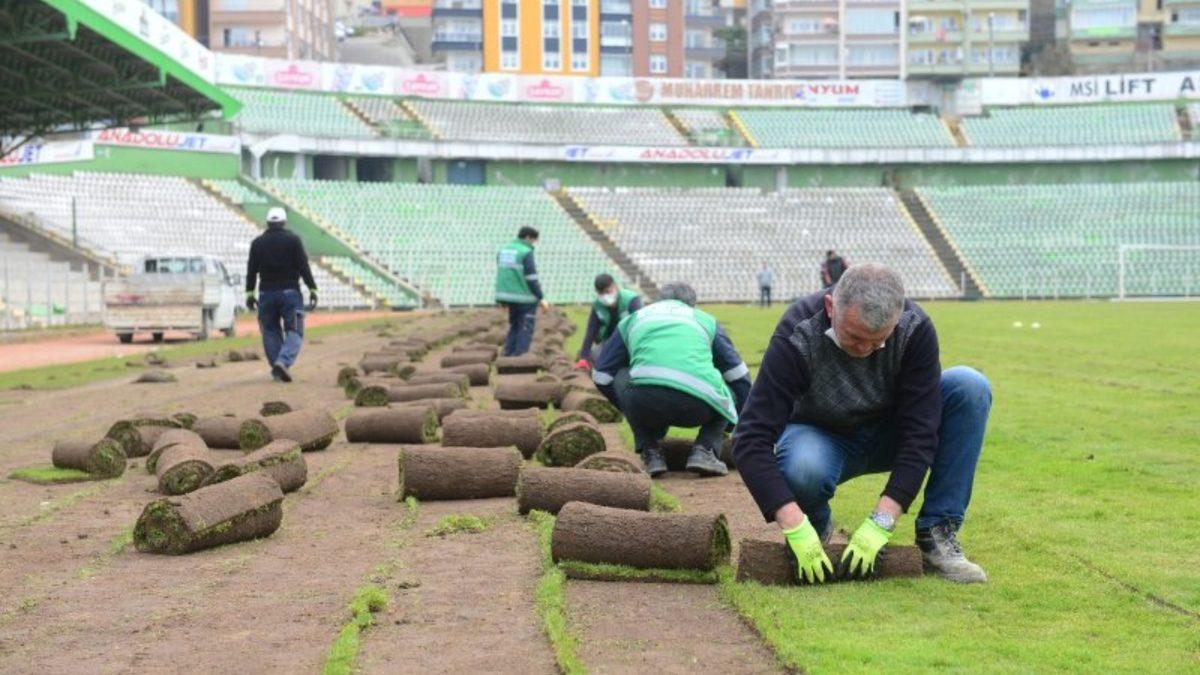 Futbol Sahalarındaki Çimler Neden Bir Açık Bir Koyu Görünecek Şekilde Tasarlanır? İşte Çimlerin Altında Yatan İnanılmaz Bilim