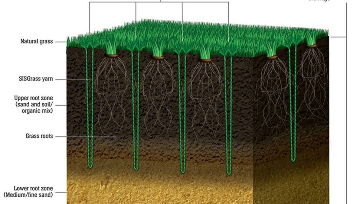 Futbol Sahalarındaki Çimler Neden Bir Açık Bir Koyu Görünecek Şekilde Tasarlanır? İşte Çimlerin Altında Yatan İnanılmaz Bilim