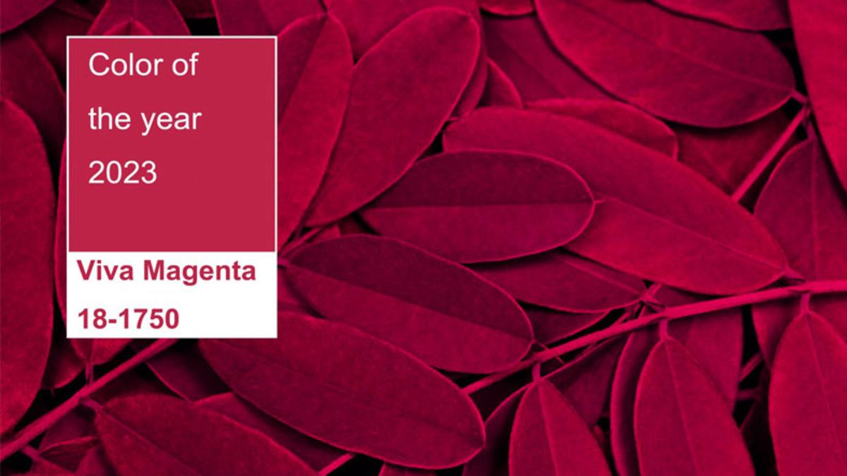 2023’te Kafamızı Çevirdiğiniz Her Yerde Göreceğiniz "Yılın Rengi" Açıklandı