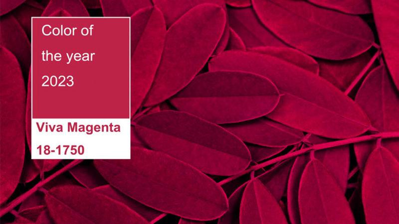 2023’te Kafamızı Çevirdiğiniz Her Yerde Göreceğiniz "Yılın Rengi" Açıklandı