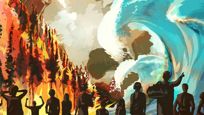 Bilim İnsanları, Hayvan Vücutlarının İklim Değişikliği Nedeniyle ’Şekil Değiştirdiğini’ Açıkladı