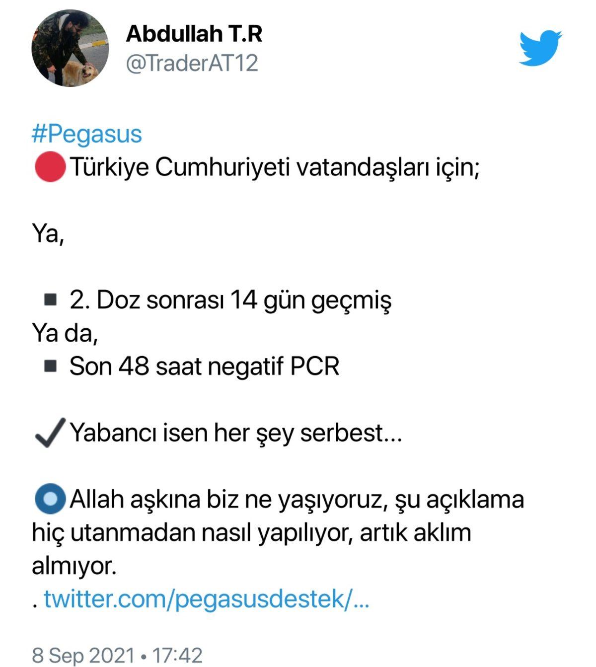 Pegasus’un PCR Testi Açıklaması, Sosyal Medyayı Ayağa Kaldırdı: İşte Tepkiler ve Açıklamanın Perde Arkası