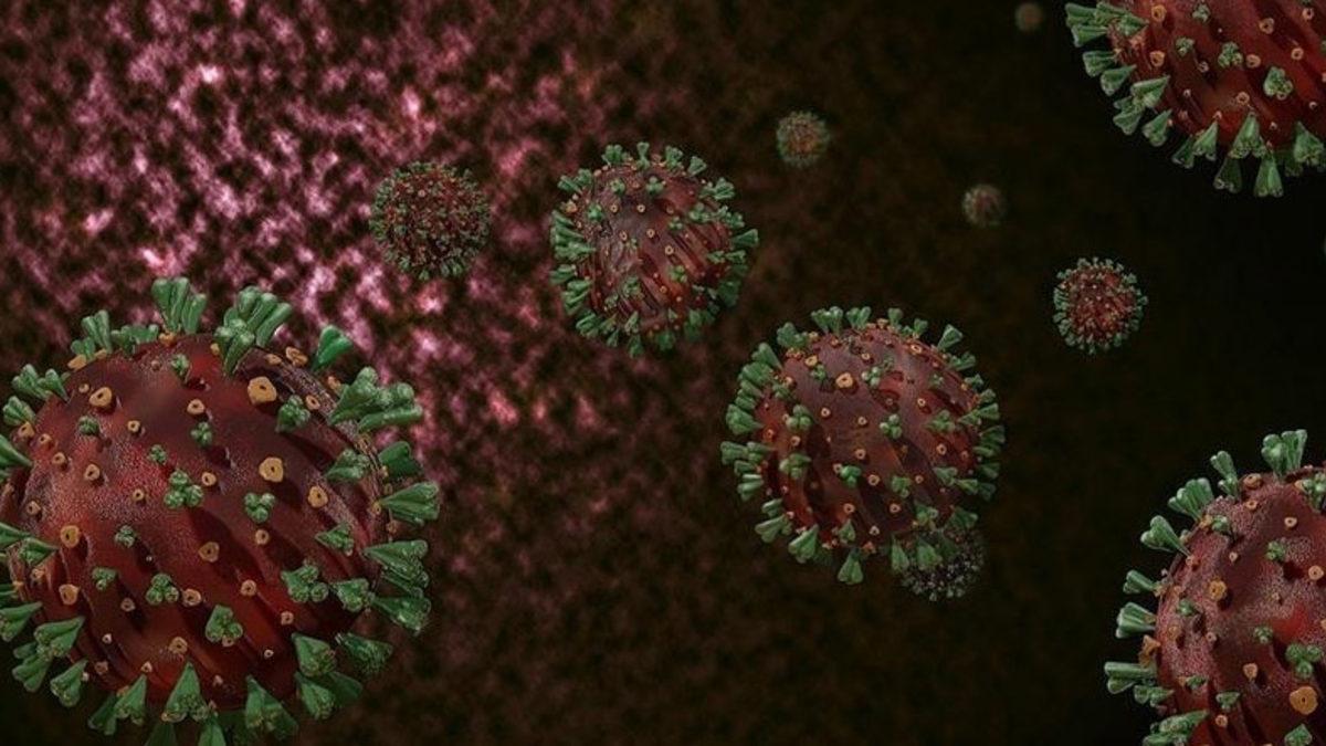 Prof. Dr. Mutlu: Aşı Olmayanlar, Yeni Mutasyonlara Yol Açıyor