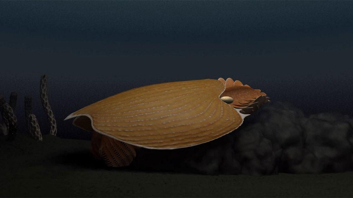 Bilim İnsanları 500 Milyon Yıllık ’Sucul T-Rex’i Keşfetti